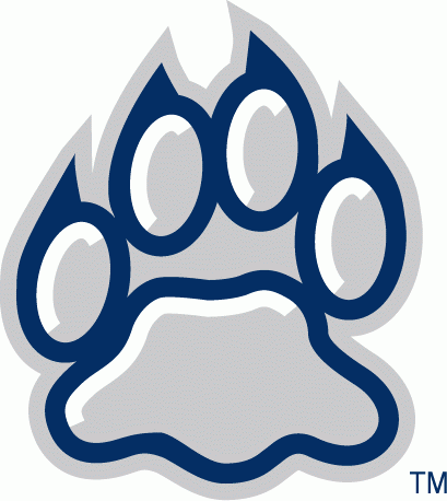 New Hampshire Wildcats 2000-Pres Alternate Logo v3 diy DTF decal sticker